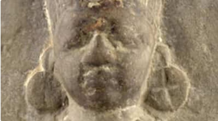 An 18th century idol of Annapurna to begin its journey on Nov 11 for its final resting in Kashi.