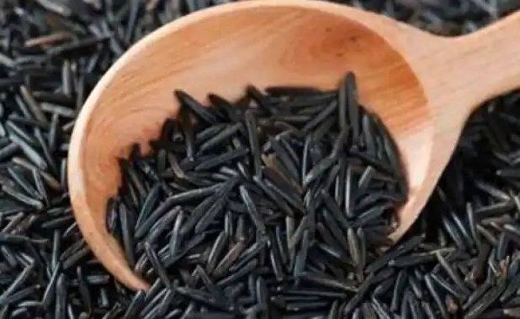 Black rice production begins in Assam now.