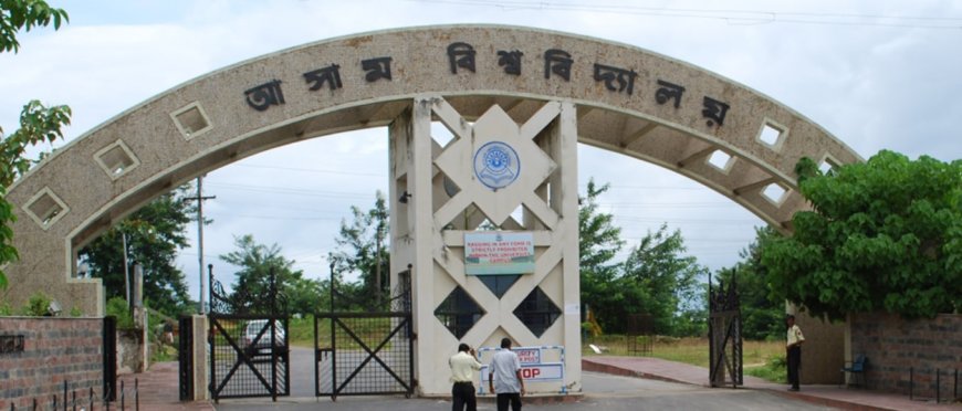 Assam University under scrutiny again, leaked audio alleges professor's affair with student
